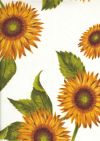 WEISS24 Tournesols orange allover